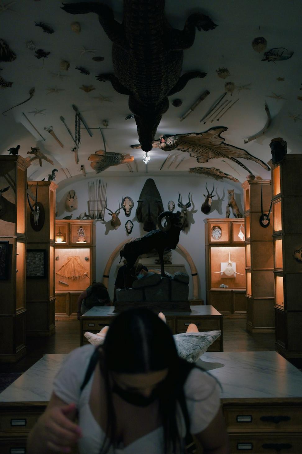 Dragon's Lair Penthouse